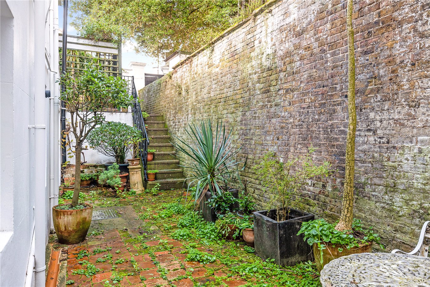 Terrrace Garden Lowe
